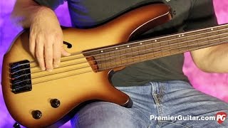 Review Demo  Ibanez SRH505F 5String Fretless Bass [upl. by Pooley]