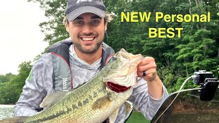 Watauga Lake bass fishing in June  Glide bait fishing for GIANT BASS [upl. by Swehttam]