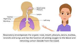 MODULE 1  VIDEO 2  ORGAN SYSTEMS  ENG [upl. by Otilegna]