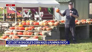 Fall Funtacular Shuckles Corn Maze amp Pumpkin Patch [upl. by Servais]