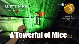 The Witcher 3 Wild Hunt  A Towerful of Mice  Fyke Isle Curse  full story [upl. by Ashleigh441]