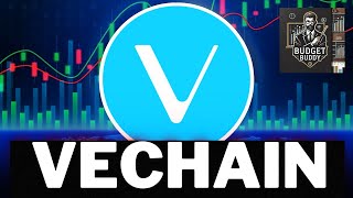 vechain Whats NEXT vetcrypto vechainnewstoday [upl. by Fraase19]