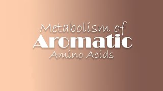 Bio Special Amino Acid Metabolism  Aromatic Amino acids [upl. by Aitam]