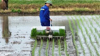 The Fastest Mini Rice Transplanting Machine works on big farm [upl. by Esor]