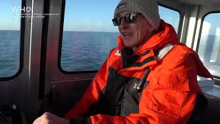 Researching North Atlantic right whales in Cape Cod Bay [upl. by Afatsum893]