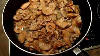 Saffron milkcap mushroom recipe [upl. by Yrallam]