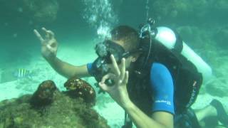 Tiago Caetano  Mergulho em Porto de Galinhas [upl. by Hett]