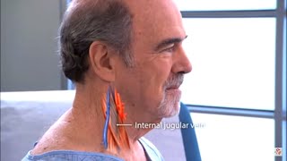 Examination of the jugular venous pulse  JVP examination Procedure video [upl. by Booma]