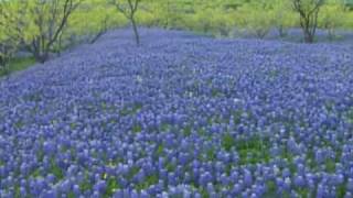 Keep Texas Wild Blackland Prairie [upl. by Anazraf]