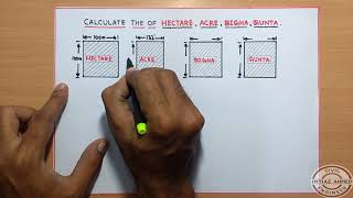 Calculate The Area of HECTARE  ACRE  BIGHA  GUNTA [upl. by Ulah]