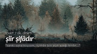 şiir şifâdır  en sevilenler 1 saat dinleti [upl. by Erreit774]