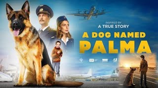 A Dog Named Palma Full Movie Hindi Dubbed Facts [upl. by Elleron]