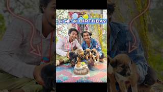 4 Kutte🐶 का birthday🥳मनाया birthday dog comedy [upl. by Navy967]