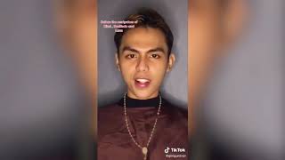 Best of Museo De Filipino Tiktok Challenge 2020 Must Watch [upl. by Arikehs]