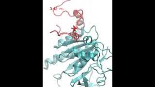 Molecular docking of RAD51BRCA2 BRC repeat complex [upl. by Halyhs]