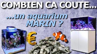 COMBIEN CA COUTE un aquarium marin [upl. by Esilehs]