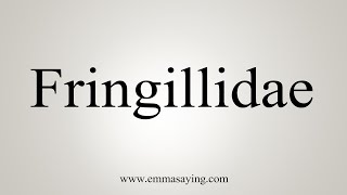 How To Say Fringillidae [upl. by Bergren]