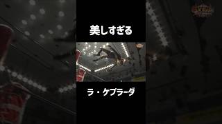 【女子プロレス】いつ見てもフォームが美しすぎる女性版タイガーマスクのラ・ケブラーダ【タイガー・クイーン】【ストロングスタイルプロレス】【玉川ボール】shorts [upl. by Tsui441]