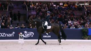 CAVALIADA Dressage Tour 2023 Sandra Sysojeva amp FOUND BOY [upl. by Changaris]