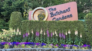 Butchart Gardens Tour May 2024 [upl. by Delmor]