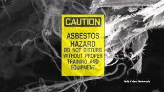 Malignant Mesothelioma amp Asbestos [upl. by Etireuqram72]