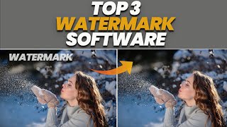 How To Remove Watermark From Videos Or Photos  Best Top 3 Watermark Remover [upl. by Sletten496]