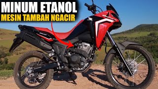 Motor Adventure Baru Honda Gak Cuma Minum Bensin Dikasih BBM Etanol Mesinnya Bisa Lebih Kencang… [upl. by Aneeuqal]