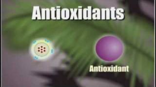 How Antioxidants Work [upl. by Rapp]