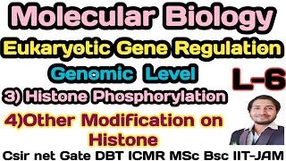 Eukaryotic Gene RegulationL6Histone Phosphorylation mechanism of gene regulation in Eukaryotes [upl. by Odnamra]