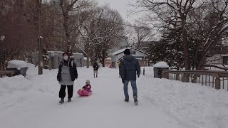 【4K】Walk In Japan Sapporo Chuoku Nakajima Park Winter 2021 札幌 中央区 中島公園 冬の散策【Binaural Sound】 [upl. by Airolg]