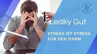 Stress ist Stress für den Darm  Psychischer Stress und ungesunde Nahrung  André Blank – Vivoterra® [upl. by Halla]