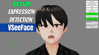 Expression Detection VSeeFace Tutorial  03  How to Be a VTuber  Tutorial [upl. by Alyakem535]