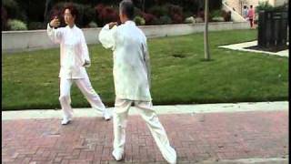 Two people mirror Tai Chi form 8 [upl. by Carol-Jean]