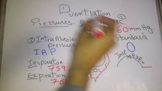 Respiratory new system Steps and Mechanism of Ventilation dr mohamed fayez [upl. by Steady695]