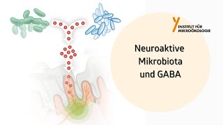 Neuroaktive Mikrobiota und GABA [upl. by Il]