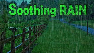 🎧 Fall Asleep with Soothing Rain Sounds  Ambient Noise For Sleeping Ultizzz day55 [upl. by Oneladgam]