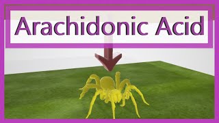 Arachidonic Acid Pathway Mnemonic [upl. by Aldarcy]