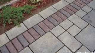 Polymeric sand joint replacement project [upl. by Pacheco]