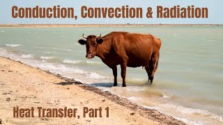 Intro to Conduction Convection amp Radiation Heat Transfer Part 1 For Middle School students [upl. by Lashoh]