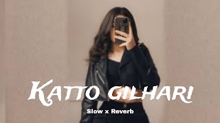 KATTO GILHARI CHAMAK CHALLO RANI  SLOW X REVERB LOFI 🍁 [upl. by Brion737]