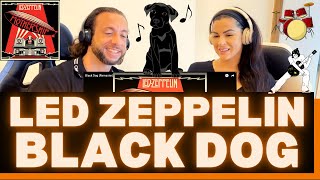 First Time Hearing Led Zeppelin Black Dog Reaction  YOU NEVER KNOW WHAT TO EXPECT WITH THESE GUYS [upl. by Zoe]