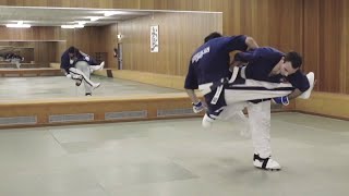 Quest ce que le Yoseikan Budo  Un MMA  Un Art Martial traditionnel  Peutêtre tout ça a la fois [upl. by Pebrook]