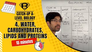 Water carbohydrates lipids and proteins [upl. by Attegroeg]