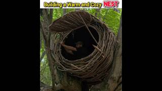 Building a Warm and Cozy Nest part 2 building survive shelter shortsfeed [upl. by Yvon]