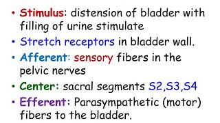 Micturition Reflex OER [upl. by Sola]