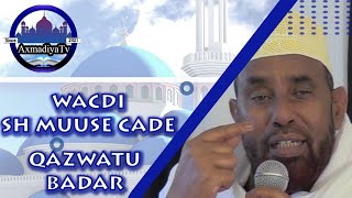 WACDI  SH MUUSE CADe  QAZWATU BADAR [upl. by Redneval50]