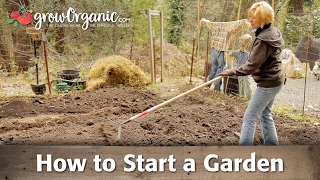 How to Start a Garden [upl. by Araek861]