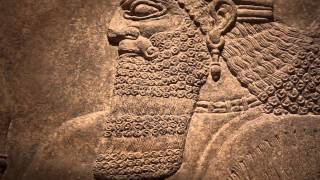 Assyrian Relief from the Palace of Ashurnasirpal II [upl. by Eylrac]