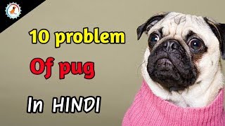 10 problems of pug  in hindi  Pug Dog Problem [upl. by Matless]