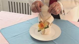 How To Make A Lily Napkin [upl. by Ecydnak312]